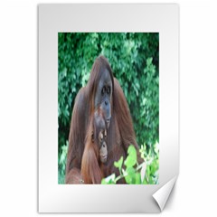 Orangutan Family Canvas 24  X 36  (unframed) by AnimalLover