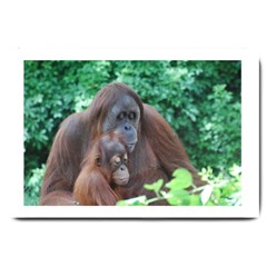 Orangutan Family Large Door Mat by AnimalLover