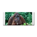 Orangutan Family Hand Towel Front