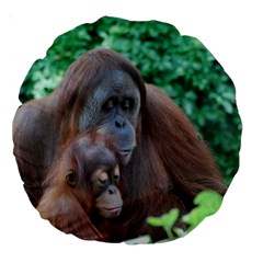 Orangutan Family 18  Premium Round Cushion  by AnimalLover