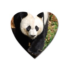 Giant Panda Magnet (heart) by AnimalLover