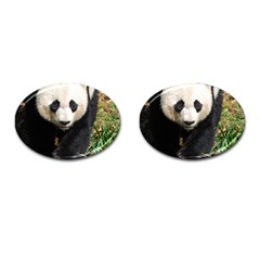 Giant Panda Cufflinks (oval)