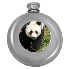 Giant Panda Hip Flask (round)