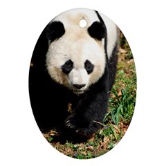 Giant Panda Oval Ornament (two Sides)