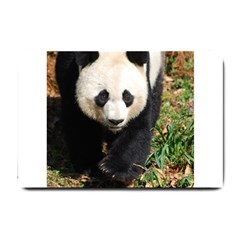 Giant Panda Small Door Mat by AnimalLover