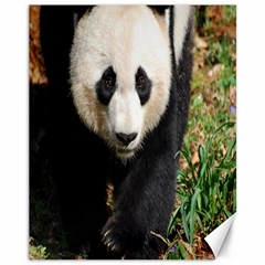 Giant Panda Canvas 11  X 14  (unframed) by AnimalLover
