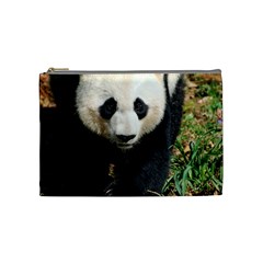 Giant Panda Cosmetic Bag (medium) by AnimalLover