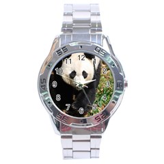 Giant Panda Stainless Steel Watch