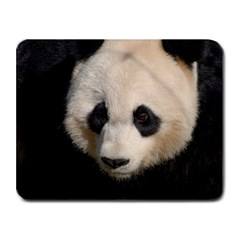 Adorable Panda Small Mouse Pad (rectangle) by AnimalLover