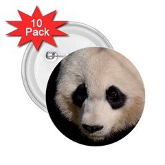 Adorable Panda 2 25  Button (10 Pack) by AnimalLover