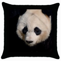 Adorable Panda Black Throw Pillow Case by AnimalLover