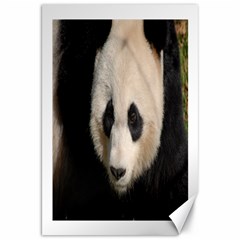 Adorable Panda Canvas 20  X 30  (unframed) by AnimalLover
