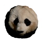 Adorable Panda 15  Premium Round Cushion  Front