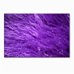 Purple Tresses Postcard 4 x 6  (10 Pack)