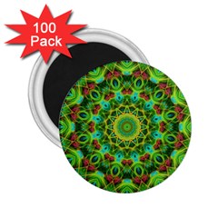 Peacock Feathers Mandala 2 25  Button Magnet (100 Pack) by Zandiepants
