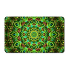 Peacock Feathers Mandala Magnet (rectangular)