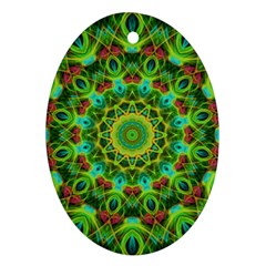 Peacock Feathers Mandala Oval Ornament (two Sides) by Zandiepants