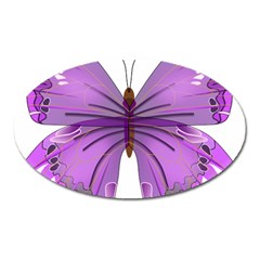 Purple Awareness Butterfly Magnet (oval) by FunWithFibro