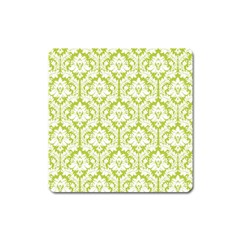 White On Spring Green Damask Magnet (Square)