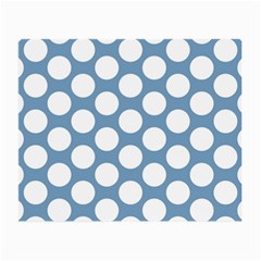 Blue Polkadot Glasses Cloth (small) by Zandiepants