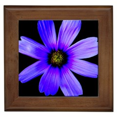 Purple Bloom Framed Ceramic Tile by BeachBum