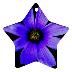 Purple Bloom Star Ornament by BeachBum