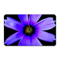 Purple Bloom Magnet (rectangular) by BeachBum