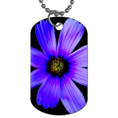 Purple Bloom Dog Tag (two-sided)  by BeachBum
