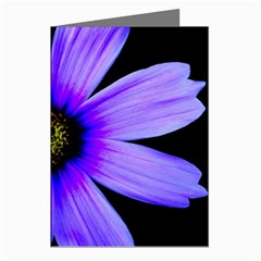 Purple Bloom Greeting Card (8 Pack) by BeachBum