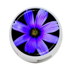 Purple Bloom 4-port Usb Hub (two Sides) by BeachBum