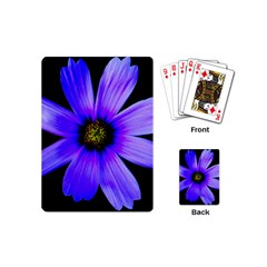 Purple Bloom Playing Cards (mini) by BeachBum