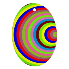 Color Oval Ornament