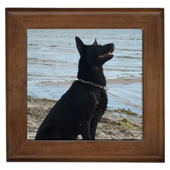 Black German Shepherd Framed Ceramic Tile by StuffOrSomething