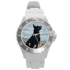 Black German Shepherd Plastic Sport Watch (large) by StuffOrSomething