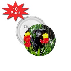 Black Gsd Pup 1 75  Button (10 Pack) by StuffOrSomething