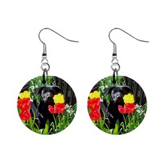 Black Gsd Pup Mini Button Earrings