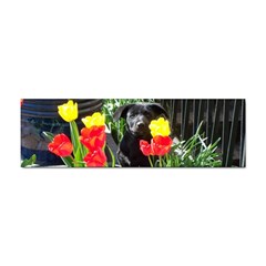 Black Gsd Pup Bumper Sticker 100 Pack by StuffOrSomething