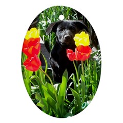 Black Gsd Pup Oval Ornament (two Sides) by StuffOrSomething