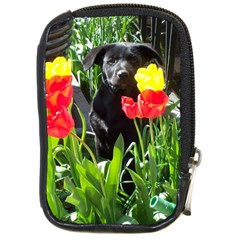 Black Gsd Pup Compact Camera Leather Case by StuffOrSomething