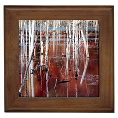 Swamp2 Filtered Framed Ceramic Tile by cgar