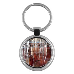 Swamp2 Filtered Key Chain (round) by cgar