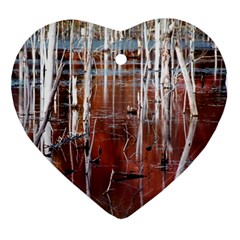 Swamp2 Filtered Heart Ornament (two Sides)