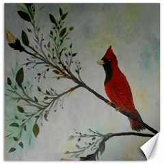 Sweet Red Cardinal Canvas 16  X 16  (unframed)