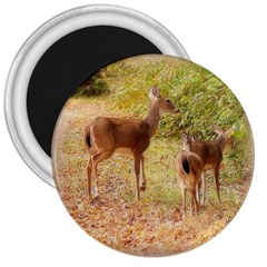 Deer In Nature 3  Button Magnet by uniquedesignsbycassie