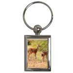 Deer in Nature Key Chain (Rectangle) Front