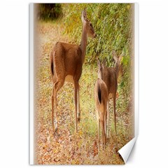 Deer In Nature Canvas 24  X 36  (unframed)