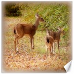 Deer in Nature Canvas 20  x 20  (Unframed) 19 x19.27  Canvas - 1
