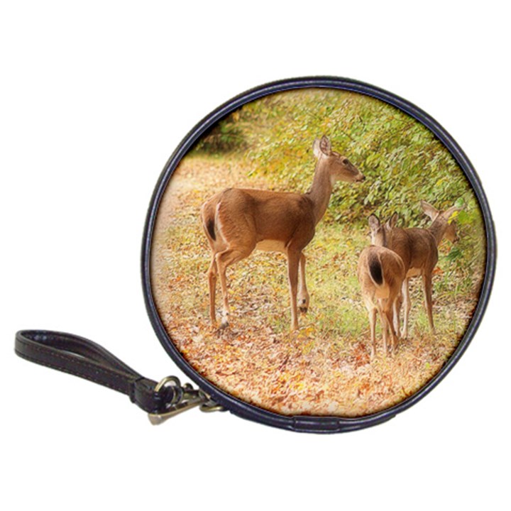Deer in Nature CD Wallet