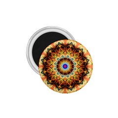 Ochre Burnt Glass 1 75  Button Magnet by Zandiepants