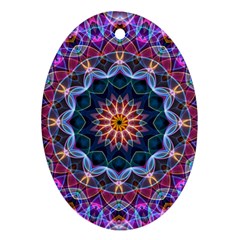 Purple Lotus Oval Ornament (two Sides) by Zandiepants